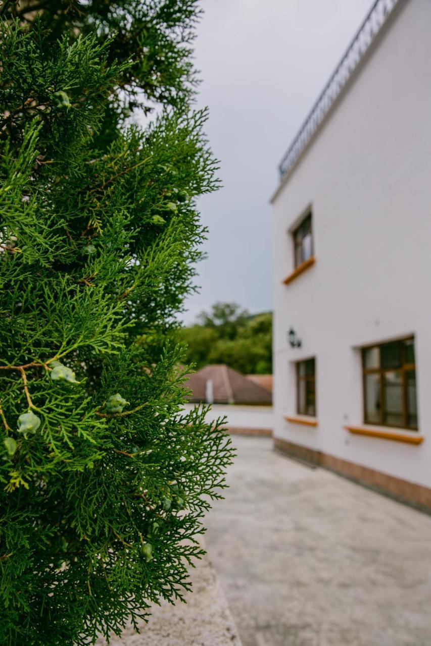 Pensiunea Vila Europa Deva Exteriér fotografie