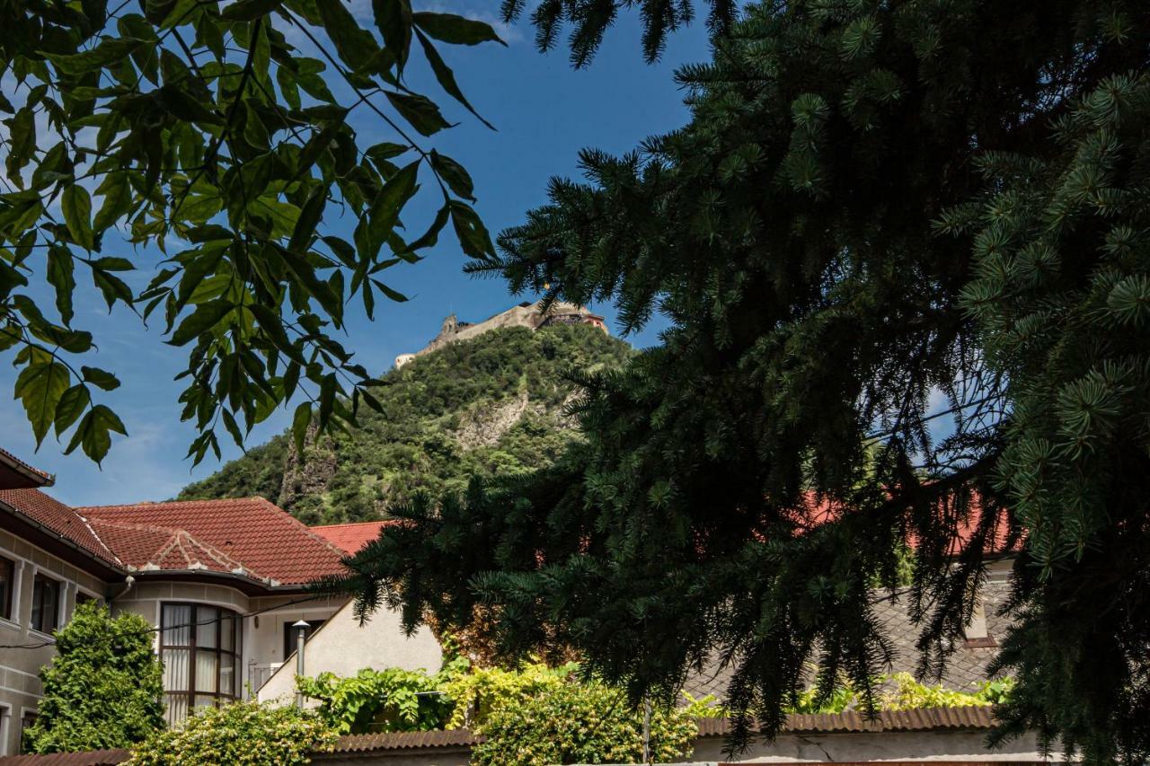 Pensiunea Vila Europa Deva Exteriér fotografie